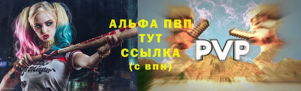 индика Абдулино