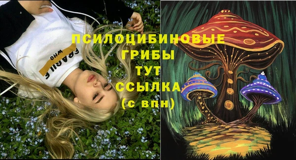индика Абдулино