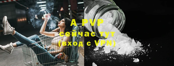 индика Абдулино