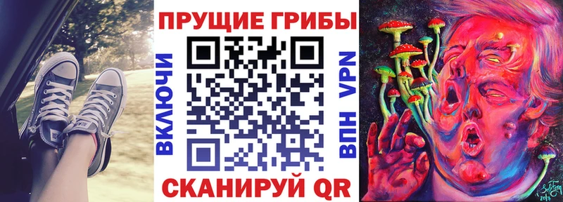 цена   Покачи  Псилоцибиновые грибы Magic Shrooms 